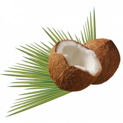coconut-979858_960_720