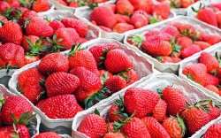 strawberries-1350482_960_720